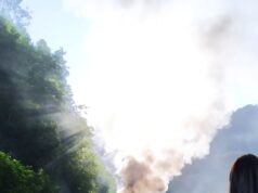 Pogledajte kako izgleda automobil koji je jutros izgorio