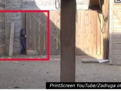 POBJEGAO IZ ZADRUGE – DRAMA U ŠIMANOVCIMA! Razvalio ogradu, pa napustio rijaliti (VIDEO)