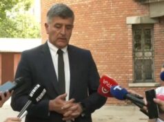 “HVALA BEOGRADU NA VELIKOM SRCU KOJE MI JE DAO”, POTRESNA PORUKA NENADA PERIŠA: Došlo je do kraja, odlazim sa sinom kući (VIDEO)