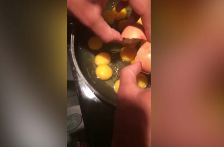 RAZBIO JE 12 JAJA: Ono što je unutra našao dešava se jednom u milion godina! (VIDEO)