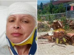 Agonija na ljetovanju u Turskoj: U bašti hotela pala joj palma na glavu… Bolnica, šivenje, ogromni troškovi!