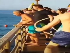 Bacili smo konopce, ali nije imala snage! Doktor pokušao da spasi ženu od ajkule: Vidio sam kako skače, a onda je voda pocrvenila!
