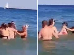 Masovna tu.a u moru postala hit na Twitteru: Ovdje ni ajkule ne bi smjele da se umiješaju