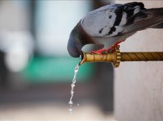 Narandžasto upozorenje zbog visokih temperatura zraka