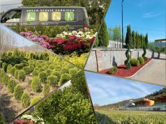 Green Servis d.o.o. Sarajevo projektuje zelene površine, dizajnira dvorišta i vrt iz snova