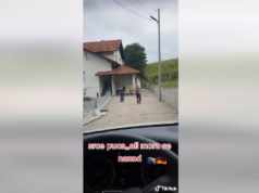 Bosanac krenuo natrag u Njemačku, a snimak rastanka sa porodicom otkriva istinu o životu preko