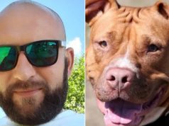 Nenad Aleksić, koji je usmrtio psa, za medije: Pit bull mi je napao devetogodišnjeg sina, to se desilo u huji