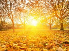 POČETAK NOVEMBRA KAKAV SE NE PAMTI: Evo kakvo nas vrijeme očekuje u narednih nekoliko dana