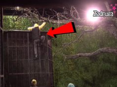 PRESKOČIO ZID: 51 sekund bjekstva Nenada Macanovića Bebice iz “Zadruge”! Ovog puta je uspio (VIDEO)