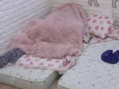 NIKAD VRELIJA AKCIJA MAJE I BILALA! Sve se orilo od uzdaha, starleta mu pružila nezaboravan užitak, Brajlović se zajapurio (Video)
