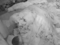 PALA ŽESTOKA AKCIJA U ZNAK POMIRENJA: Car ubacio u petu brzinu, a Maja letila do plafona, pokazala mu svoje umijeće (VIDEO+18)