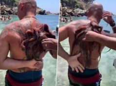 KRISTIJAN SE KUPAO U PLIĆAKU, PA USLIJEDIO ŠOK PRIZOR! Srbi zgroženi događajem iz Grčke! “Tačno bih umrla! Gdje je ovo?!” (VIDEO)
