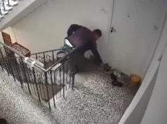 SRBIJANSKOM PJEVAČU DOSTAVLJAČ HRANE UKRAO PATIKE ISPRED STANA, ODMAH OBJAVIO SNIMAK I OBRATIO SE LOPOVU (VIDEO)