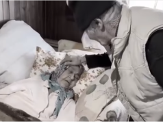 TUGA I BOL U KUĆI DJEDA HUSEINA: NAPUSTILA GA JE VOLJENA ARIFA