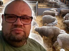 Predrag kojem je dječak pobio jaganjce otkriva: Majka je zatekla njega i sestru gole: ZNALA ZA INCEST MEĐU SVOJOM DJECOM