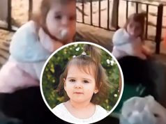 (VIDEO) “Vidio sam dijete koje se otima i viče” Poznato šta je Srbin iz Beča, koji je snimio djevojčicu koja liči na nestalu Danku (2), napisao policiji u mejlu