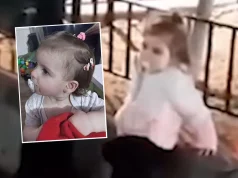 “TAKO SE MAJKE OVDJE NE PONAŠAJU” Srbin iz Beča ukazuje na veliku nelogičnost na snimku na kom je navodno nestala Danka Ilić