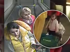 “TO NIJE DANKA, TO SAM JA SA KĆERKOM” Austrijski sajt tvrdi da je našao ženu sa snimka u Beču na kojem je djevojčica koja liči na nestalu Danku