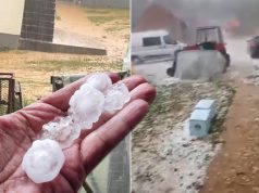 GRAD UBIJAO DOMAĆE ŽIVOTINJE, ČUPAO KROVOVE I LOMIO ŠOFERKE Pogledajte posljedice razornog nevremena koje je pogodilo Srbiju VIDEO