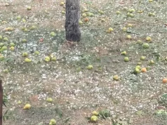 Objavljeno u kojim dijelovima BiH se sutra očekuju jače padavine sa gradom