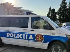 UBIJENI BRAT I SESTRA Horor kod Bijelog Polja: Ubica višestruki povratnik