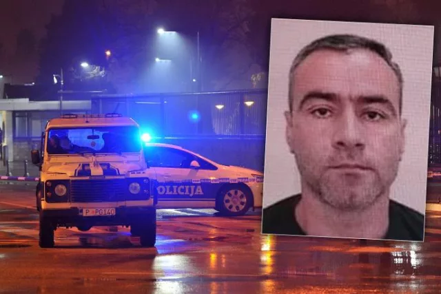 aco martinovic 7y6