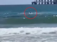 (VIDEO) PANIČNO MAŠE RUKAMA IZ VODE, VRIŠTI I NESTAJE U LOKVI KRVI Užas na Mediteranu: Kruže snimci JEZIVOG NAPADA i ne zna se koji je gori