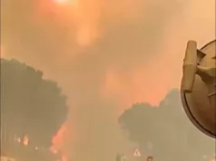 PLAMEN DOSTIGAO VISINU OD 30 METARA! Dramatični snimci iz epicentra požara! Vatrogascu IZGORJELO LICE: “Bilo je kao u PAKLU” (VIDEO)
