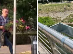 Mladić nije ukrao saksiju sa cvijećem sa mosta u Sarajevu, nego je vratio na mjesto: Evo prave istine