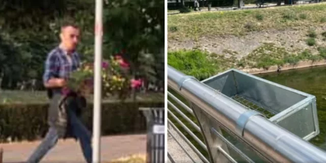 mladic saksija cvijeca grbavica