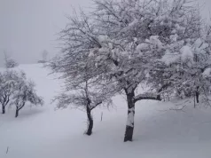 Snijeg stigao na Balkan: Fino zavejalo kod komšija, temperatura drastično pala