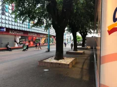 Drama u Bihaću: Sukobili se migranti u marketu, jedan teže povrijeđen, objekat demoliran