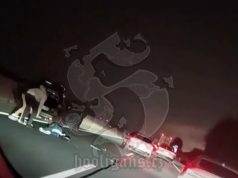 Poljski huligani napali Zagrepčane na autocesti: “Sve su nam uzeli, tukli su nas šakama i palicama”