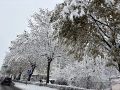 Pogledajte zimsku idilu u Sarajevu: Grad osvanuo pod bijelim pokrivačem (VIDEO)