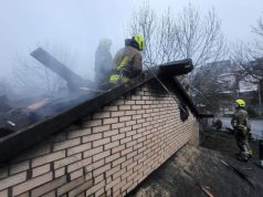 Vatrogasci spriječili širenje požara u Pionirskoj dolini i spasili životinje