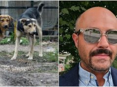 “Gdje mi to živimo?”: Psi lutalice napali muškarca dok je vodio kćerke u školu