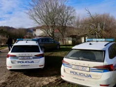 Užas u Hrvatskoj: Ženu ugurao u gepek, odvezao u šumu i pretukao
