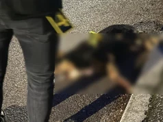Slučaj koji je šokirao BiH: Uhapšen muškarac – iz vatrenog oružja ubio jednog psa, a drugog ranio