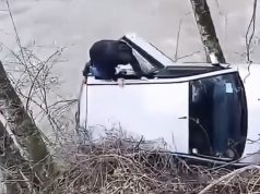 HEROJ IZ BIJELOG POLJA: Iz rijeke izvukao vozača bez noge iz Pljevalja nakon slijetanja automobila