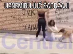 Uznemirujući snimak iz školskog dvorišta u Srbiji: Pas napao djevojku (VIDEO)