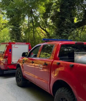 TRAGEDIJA KOD RIJEKE BOSNE: Muškarac pao s drveta i poginuo na mjestu