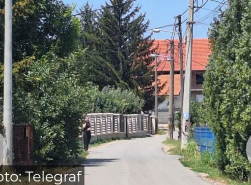 HOROR U BEOGRADSKOM NASELJU: Krenuo pomoći porodilji, pa stradao od roja osa – troje djece ostalo bez oca