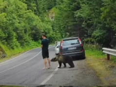 MEDVJED MU PRIŠAO S LEĐA: Snimak koji je zaprepastio milione završio potpunim haosom (VIDEO)