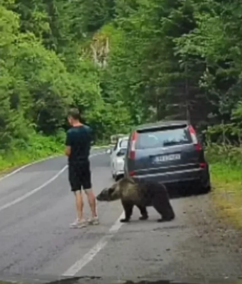 MEDVJED MU PRIŠAO S LEĐA: Snimak koji je zaprepastio milione završio potpunim haosom (VIDEO)