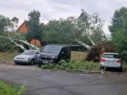 Tornado pogodio Njemačku: Žena poginula nakon što je na nju palo drvo