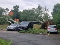 Tornado pogodio Njemačku: Žena poginula nakon što je na nju palo drvo