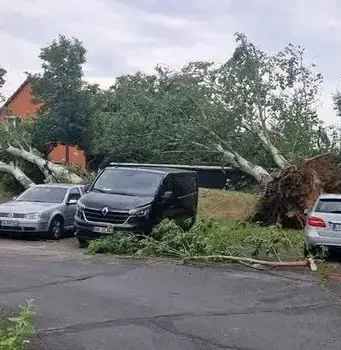 Tornado pogodio Njemačku: Žena poginula nakon što je na nju palo drvo