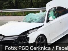 Stravična nesreća u Sloveniji: Poginuli dvoje djece i žena nakon sudara Audija s kamionom vozača iz BiH