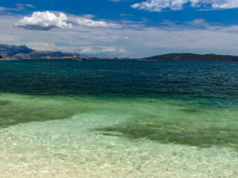 HOROR NA PLAŽI: Mislili su da nema opasnosti, a onda je mladić iz mora izašao krvav