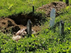 ŠOK KOD TRAVNIKA: Medvjed raskopao mezar, mještani ne pamte ovakav prizor
